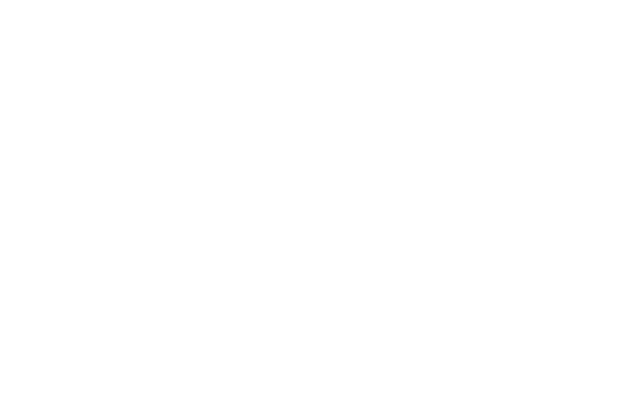 Pizzeria Fiamma